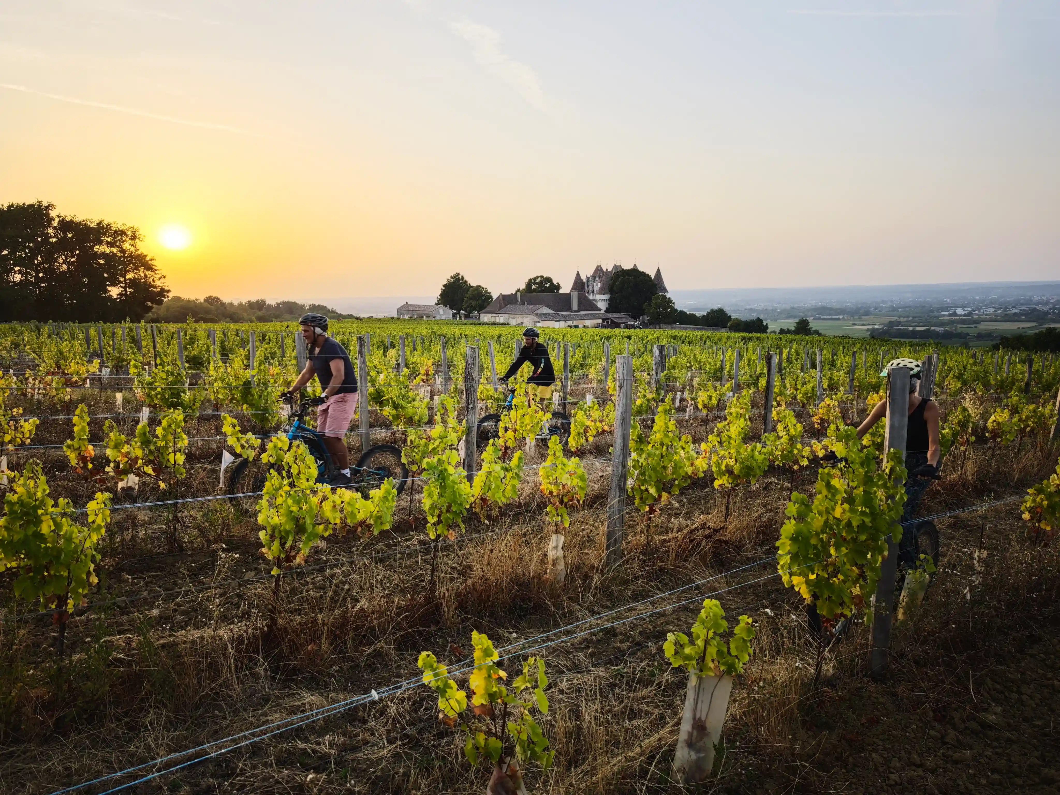 Vignoble Bergerac